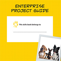 Enterprise Project Guide
