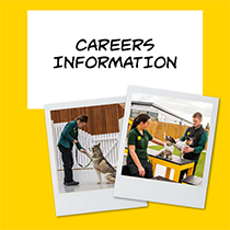 Dogs Trust Careers Information