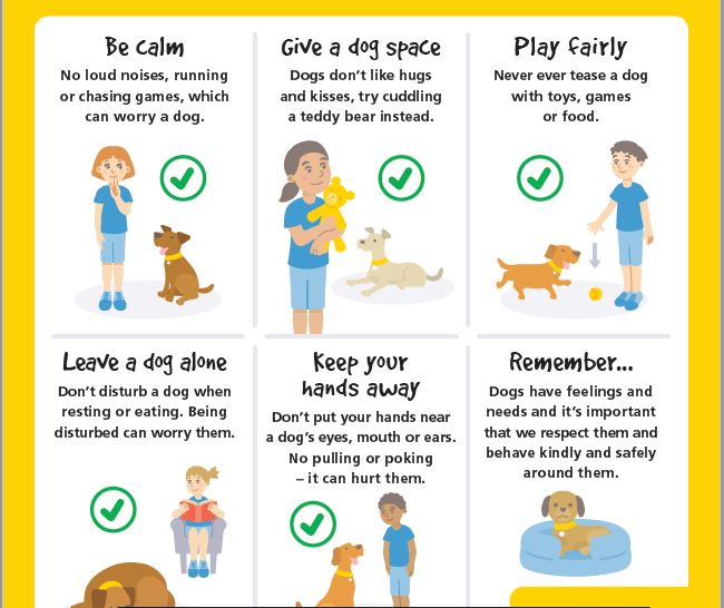 Be Dog Smart Classroom Poster